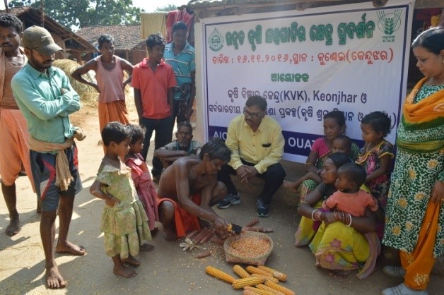 Demonstration of Maize sheller