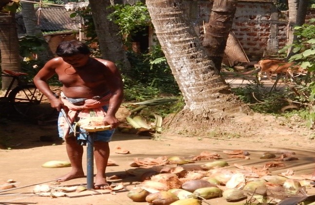 Coconut Dehusker