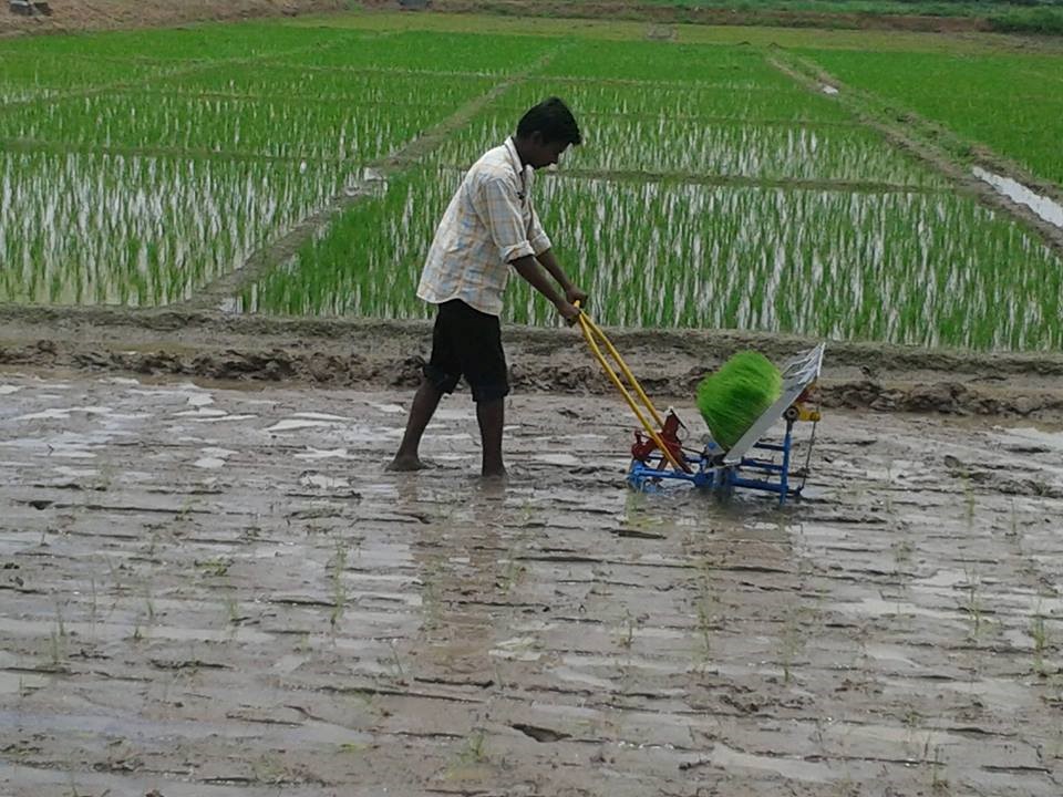 Demonstration of Three row rice transplanter