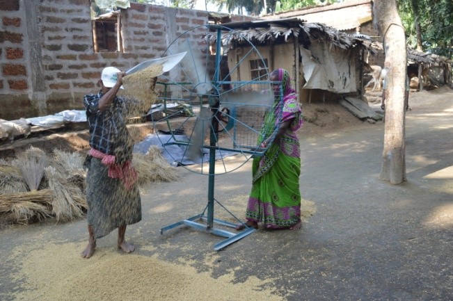 Demonstration of winnower