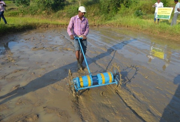Demonstration of drum seeder