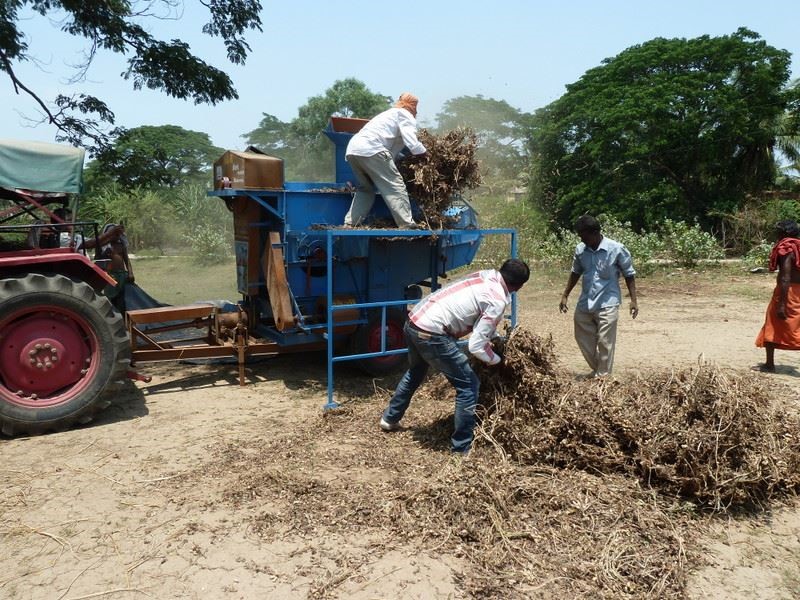 Bullock drawn pre-germinated drum seeder